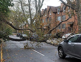 How to navigate roads after a disaster © Anton Oparin/Shutterstock.com