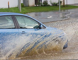 Be wary of large water puddles © swa182/Shutterstock.com