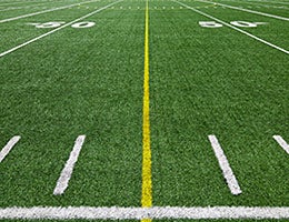 Turf grass management © Benoit Daoust/Shutterstock.com