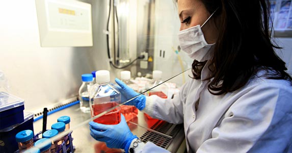 Near the top: Pharmacy sciences Near the top: Pharmacy sciences | iStock.com/gevende