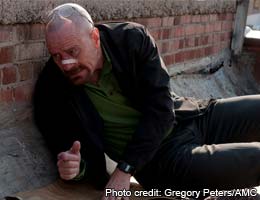Walt blasts his way out of the partnership