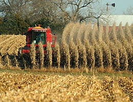 Nebraska © Weldon Schloneger/Shutterstock.com