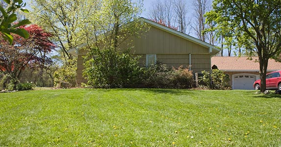 Improve plantings around your house Improve plantings around your house | Jupiterimages/Stockbyte/GettyImages