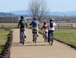 Skip the movies, do free family activities