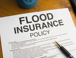 Flood insurance Flood insurance