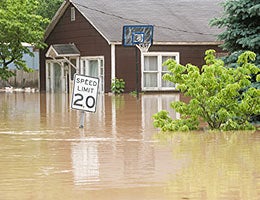 Flood insurance © Tony Campbell/Shutterstock.com