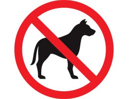 Small carriers: The wrong tree to bark up © Alexey Pushkin/Shutterstock.com
