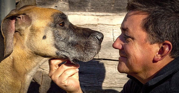 Keeping quiet about a dog can be costly © Dmussman/Shutterstock.com