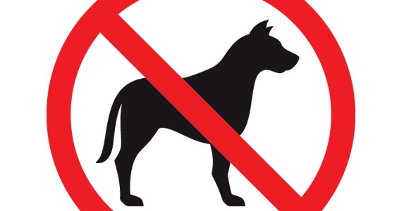 Small carriers: The wrong tree to bark up © Alexey Pushkin/Shutterstock.com
