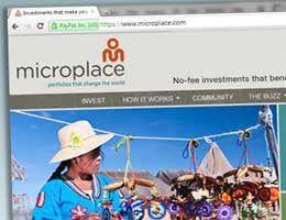 Microloans for good