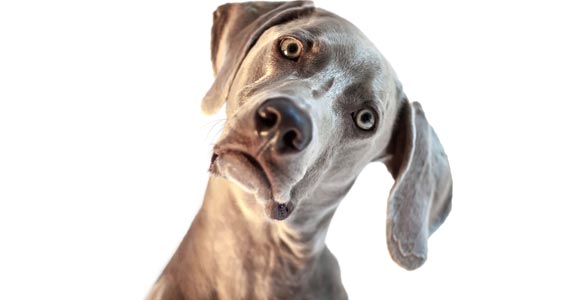 But which stocks or funds to buy? But which stocks or funds to buy? | iStock.com/dhotard/