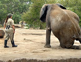 Zoologist © Bonita R. Cheshier/Shutterstock.com