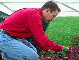 Landscape architect jobs wherever it's green © Anne Kitzman/Shutterstock.com