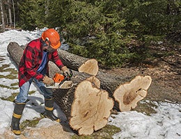 Lumberjack © Christian Delbert/Shutterstock.com