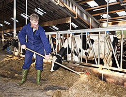 Dairy farmer © Corepics VOF/Shutterstock.com