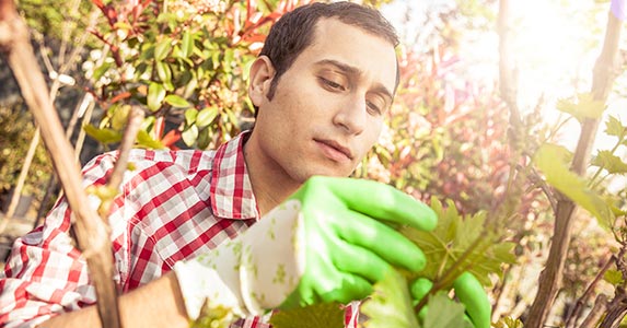 the best outdoor jobs to escape from the office | bankrate the best outdoor jobs to escape from the office | bankrate
