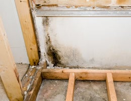 Basement wall spots
