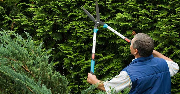 'Use the home to hedge' 'Use the home to hedge' | Dmitrijs Dmitrijevs/Shutterstock.com