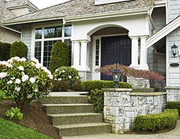 Plants © tab62/Shutterstock.com
