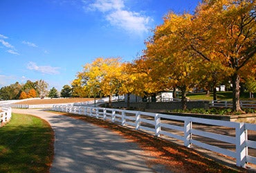 Kentucky © Mark Ross/Shutterstock.com