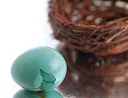 How not to destroy your retirement portfolio © Candace Hartley/Shutterstock.com