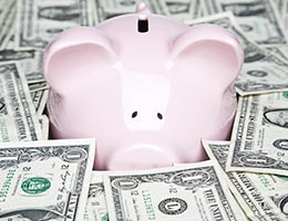 Check out the fees of the new fund options © Kinetic Imagery/Shutterstock.com