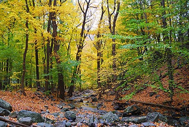 Delaware © Songquan Deng/Shutterstock.com