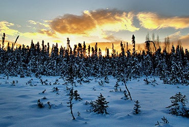Alaska © Kyle Waters/Shutterstock.com