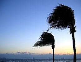 5 ways to reduce taxes in retirement © Shi Yali/Shutterstock.com