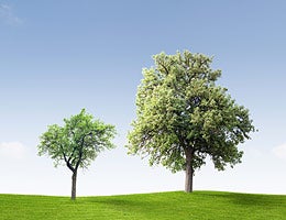 Easier access to Roth advantages © Jan Martin Will/Shutterstock.com