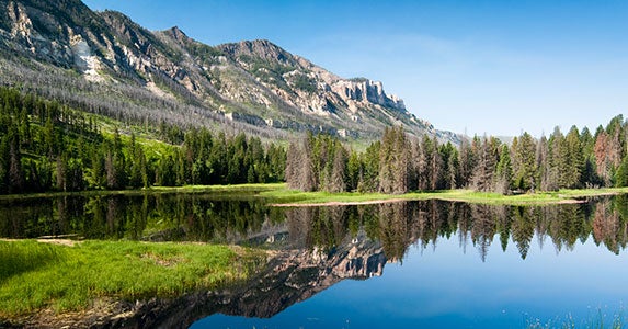 Wyoming | iStock.com