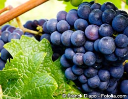 Grapes and raspberries Grapes and raspberries