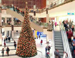 On your mark, get set, shop!
