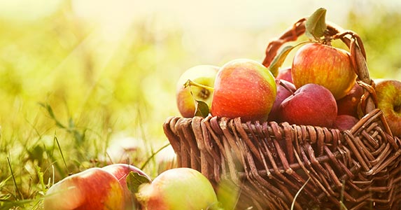 Fruits on sale: Apples and pears, plus summer stone fruit Fruits on sale: Apples and pears, plus summer stone fruit © mythja/Shutterstock.com
