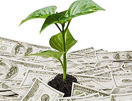 Tip No. 4: Save for retirement © Violetkaipa/Shutterstock.com