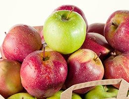 See also: Adam, Eve and apple © Nickola_Che/Shutterstock.com