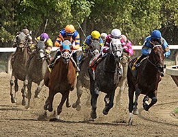Racetrack bets and more © Cheryl Ann Quigley/Shutterstock.com