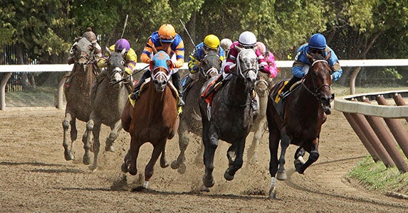 Racetrack bets and more Racetrack bets and more © Cheryl Ann Quigley/Shutterstock.com