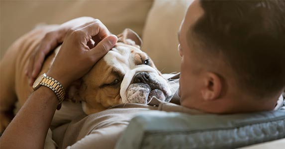 Don't deduct your pet, but … Don't deduct your pet, but … | John Fedele/Getty Images