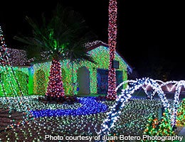 Dreaming of a bright Christmas