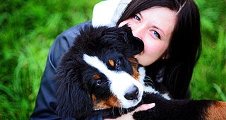 Dog with owner © LovelyColorPhoto/Shutterstock.com