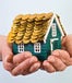 House in woman's hands