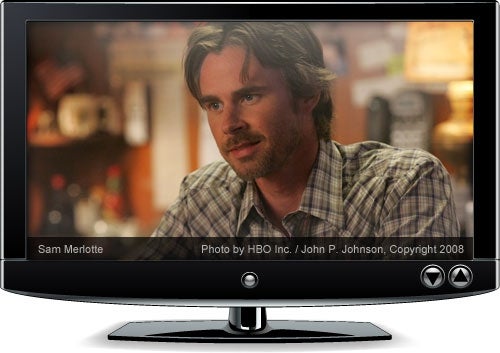 true-blood Sam Merlotte of True Blood