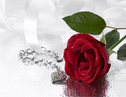 true-price-of-love-4-gift-lg