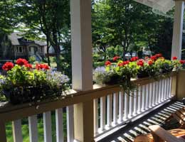 ways-to-bring-outdoors-in-5-boxes-lg Boxed plants on the porch