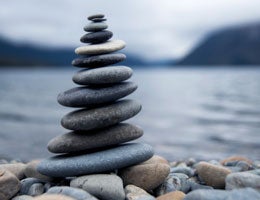 what-to-look-for-creditunion-checking-6-stability-lg Check for stability