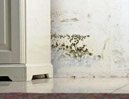 which-to-buy-short-sale-foreclosure-3-drawbacks-lg Drawbacks of buying foreclosed homes