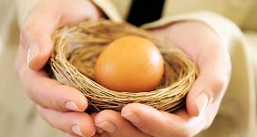 Woman's hands holding nest egg © Elenathewise - Fotolia.com