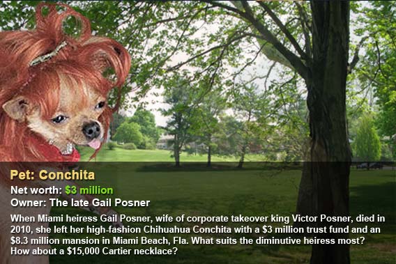 Conchita