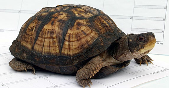 6 reasons to stop dawdling and invest © APaterson/Shutterstock.com